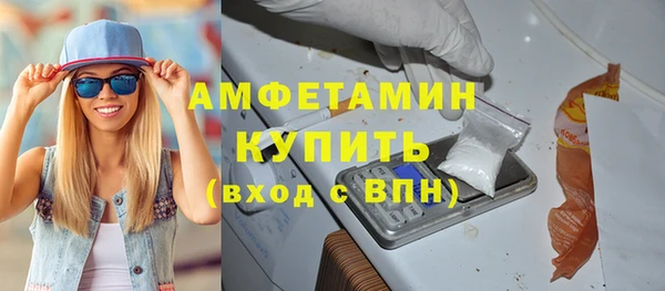 твердый Бородино