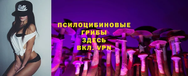 твердый Бородино