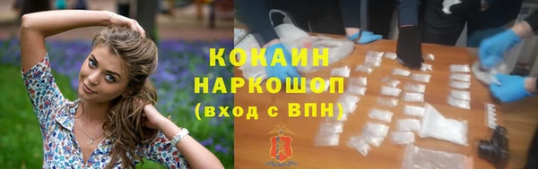 твердый Бородино