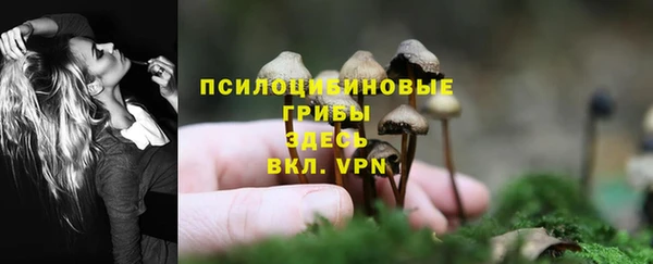apvp Бронницы