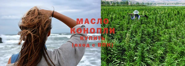 твердый Бородино