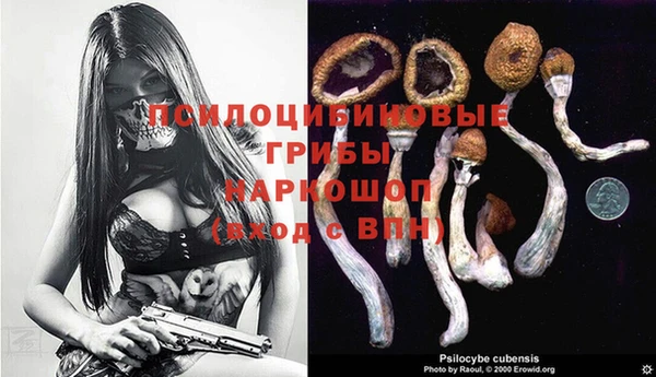 твердый Бородино