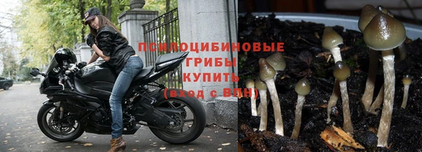 apvp Бронницы
