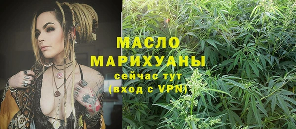 твердый Бородино