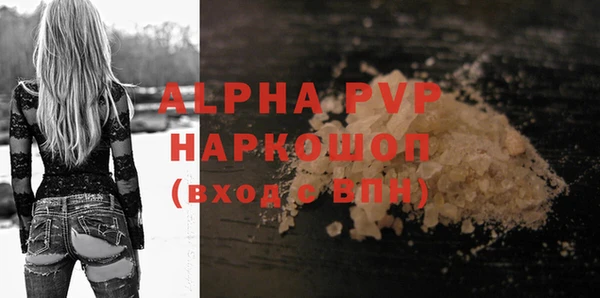 твердый Бородино