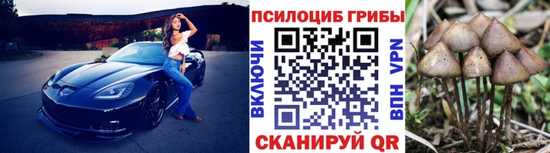 Псилоцибиновые грибы GOLDEN TEACHER  магазин  наркотиков  Новохопёрск 