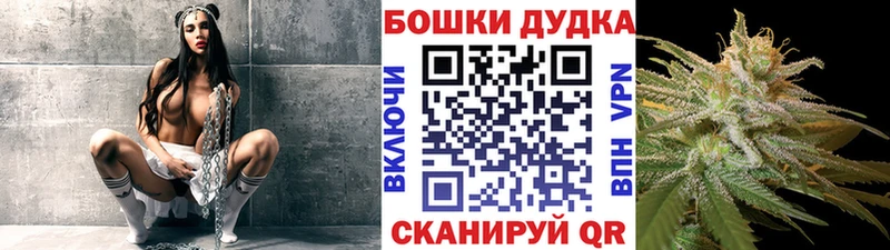 Шишки марихуана Amnesia  даркнет сайт  дарк нет формула  Новохопёрск 
